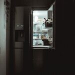 fridge
