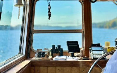 Common Causes of Marine Refrigeration Issues: From Diagnosis to Prevention