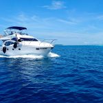 Common Causes Behind Marine Freezer Repair